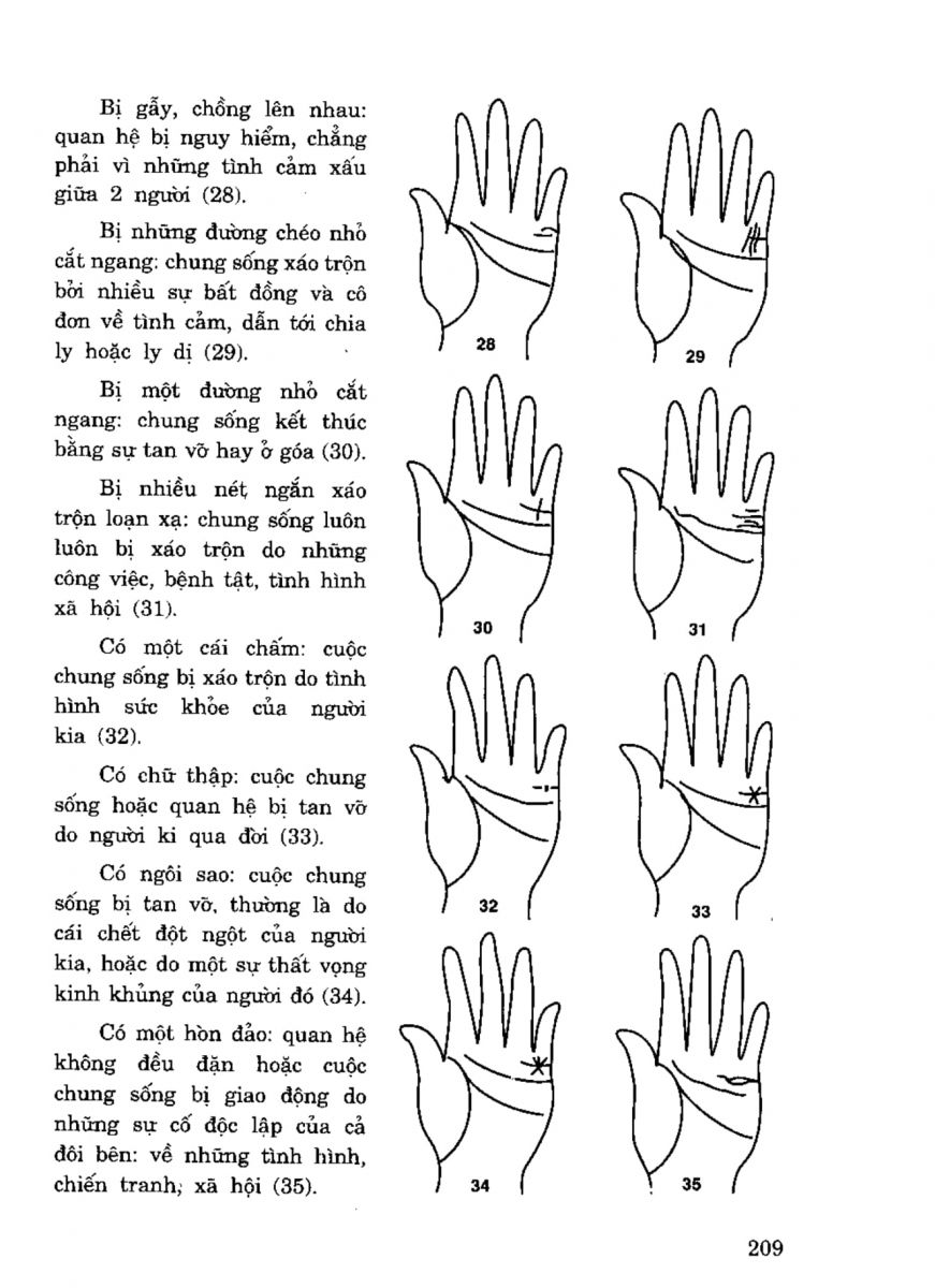 Tiếng Nói Của Bàn Tay - 204