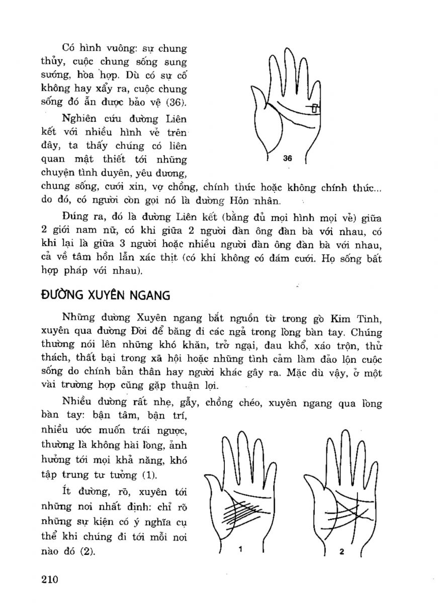 Tiếng Nói Của Bàn Tay - 205