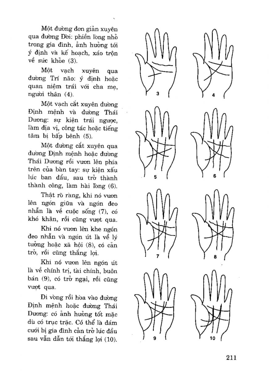 Tiếng Nói Của Bàn Tay - 206