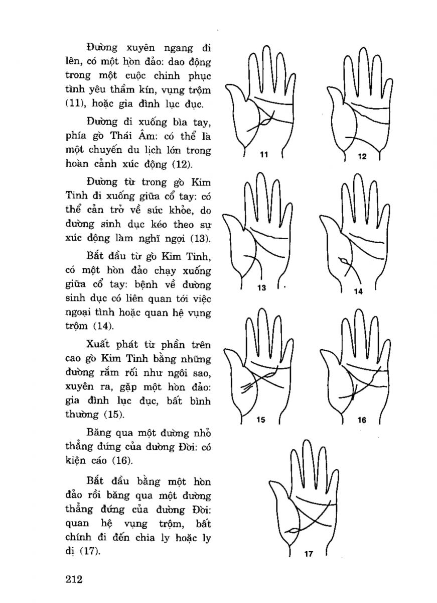 Tiếng Nói Của Bàn Tay - 207