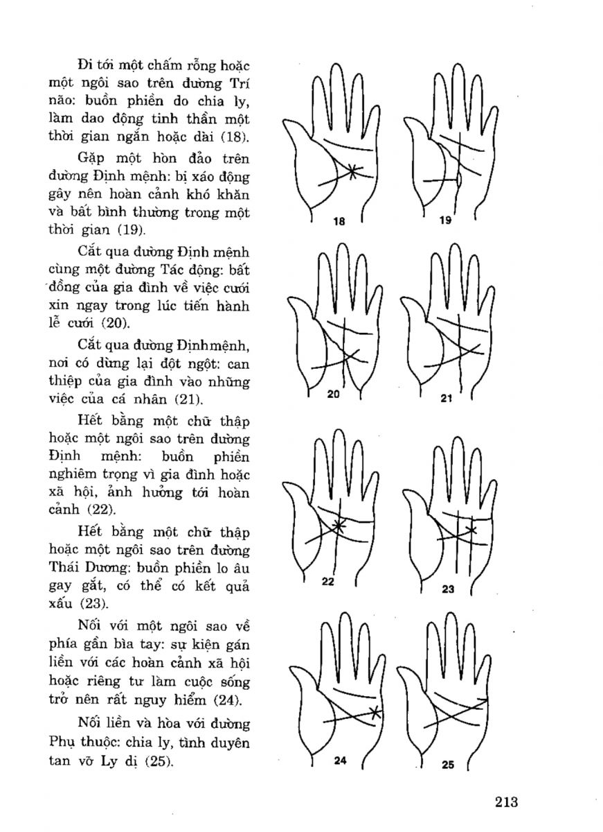 Tiếng Nói Của Bàn Tay - 208