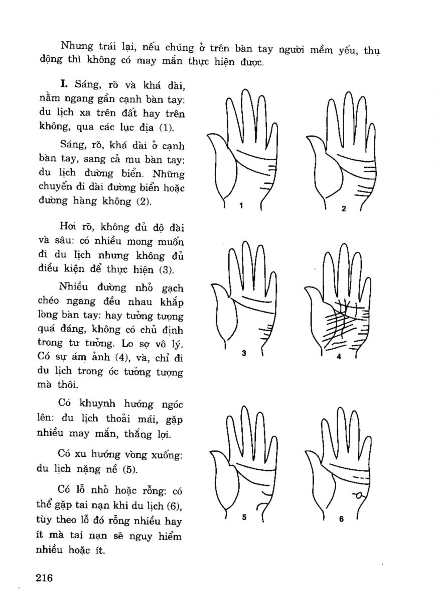 Tiếng Nói Của Bàn Tay - 211