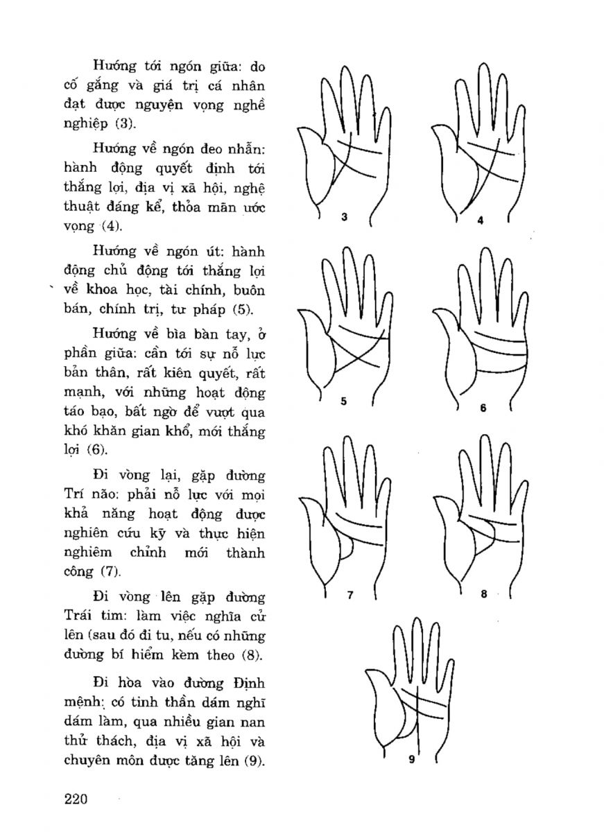 Tiếng Nói Của Bàn Tay - 215