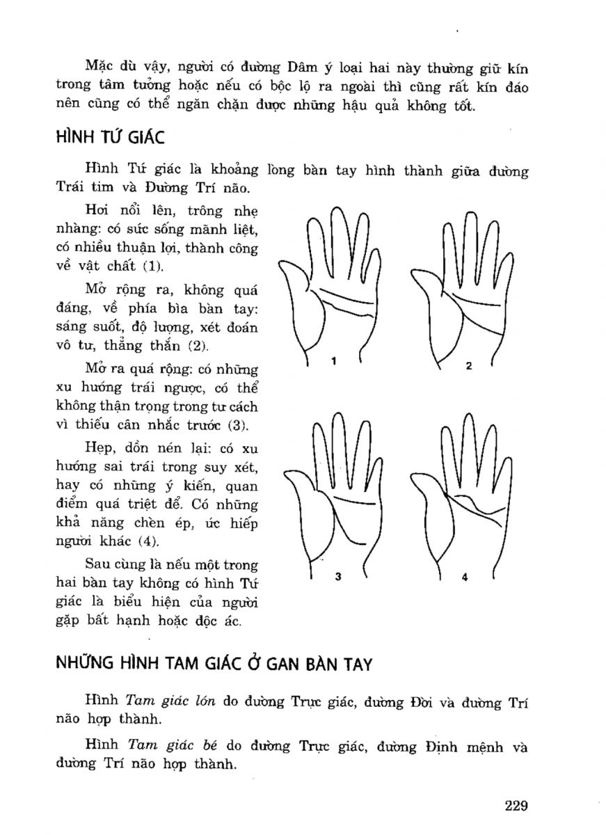 Tiếng Nói Của Bàn Tay - 224