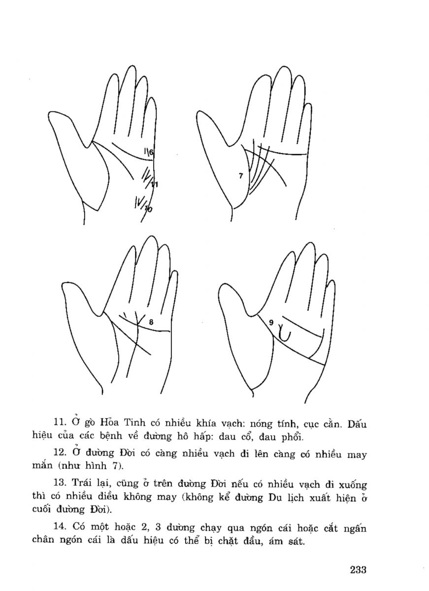 Tiếng Nói Của Bàn Tay - 228