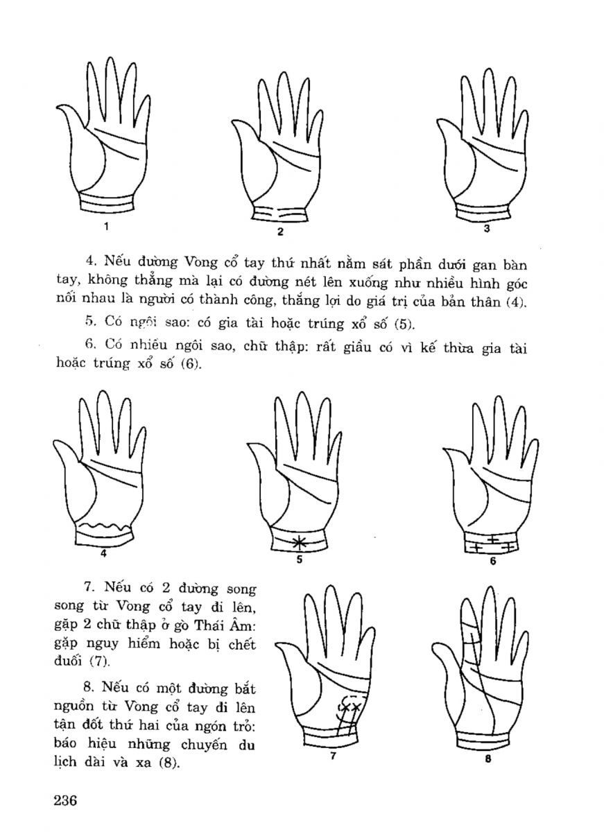 Tiếng Nói Của Bàn Tay - 231