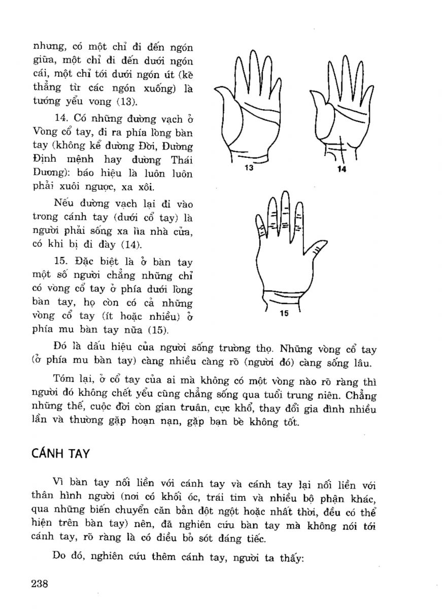 Tiếng Nói Của Bàn Tay - 233