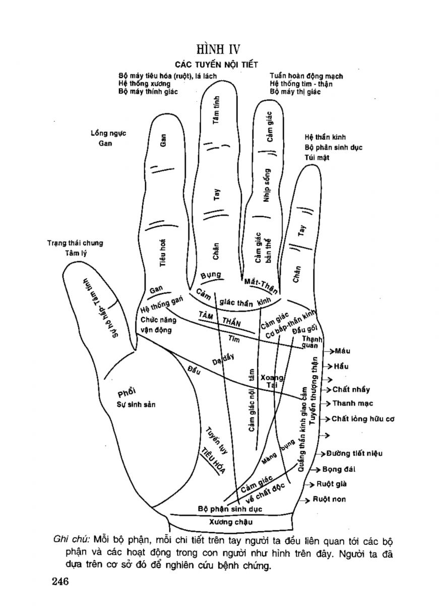 Tiếng Nói Của Bàn Tay - 241