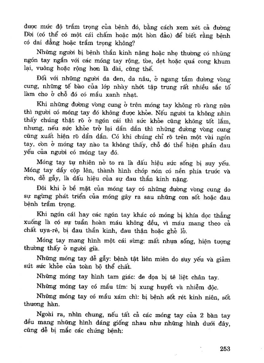 Tiếng Nói Của Bàn Tay - 248