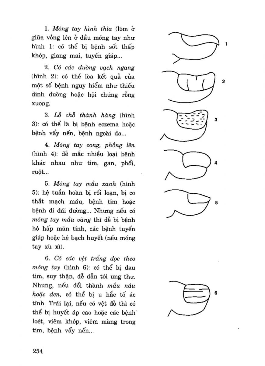 Tiếng Nói Của Bàn Tay - 249