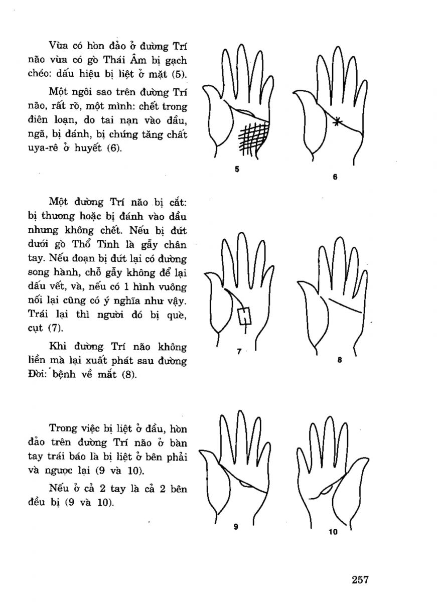 Tiếng Nói Của Bàn Tay - 252