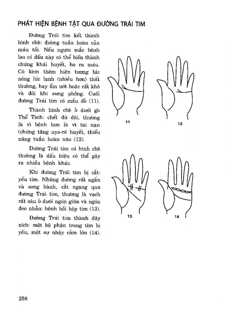 Tiếng Nói Của Bàn Tay - 253