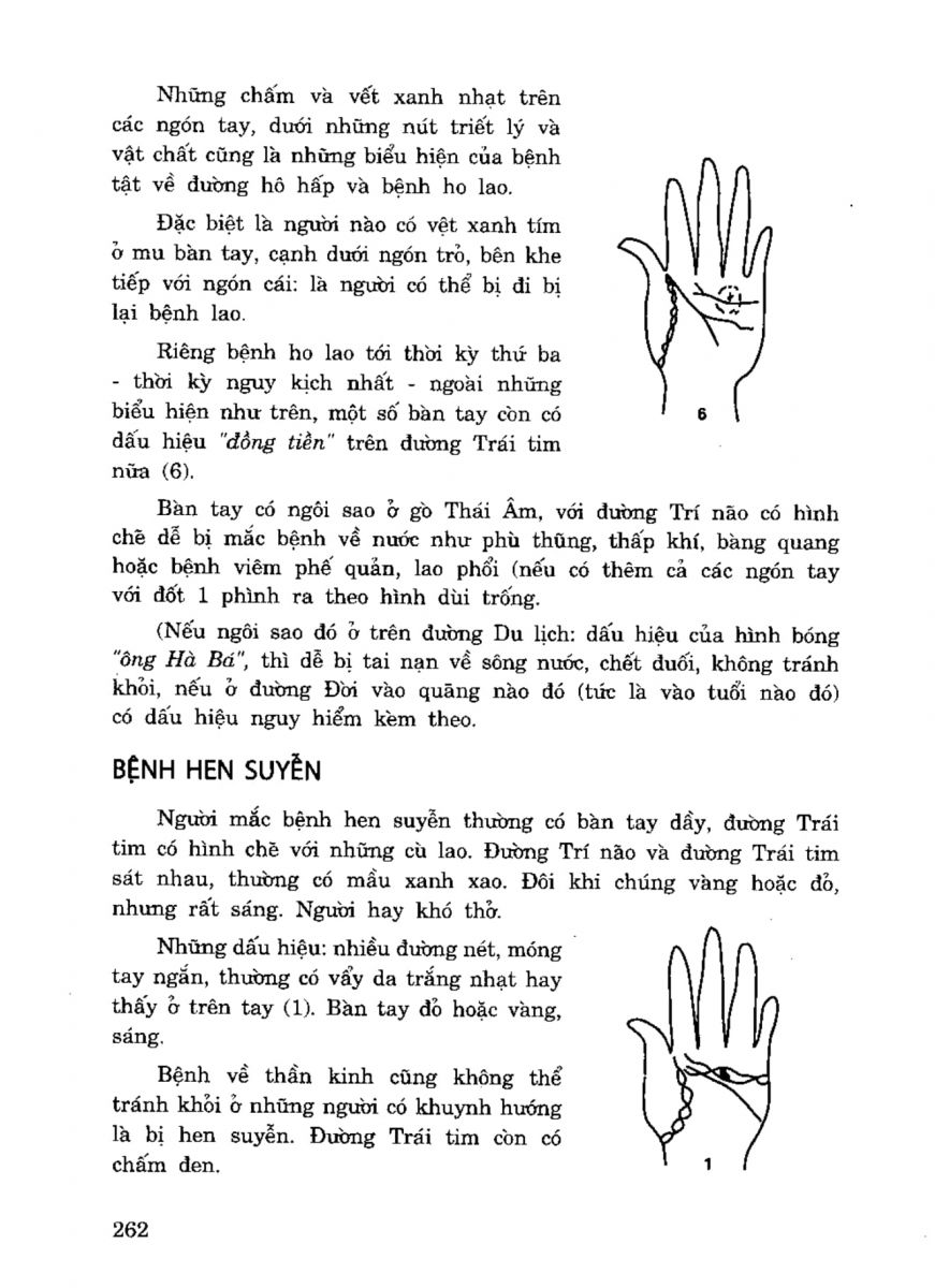 Tiếng Nói Của Bàn Tay - 257