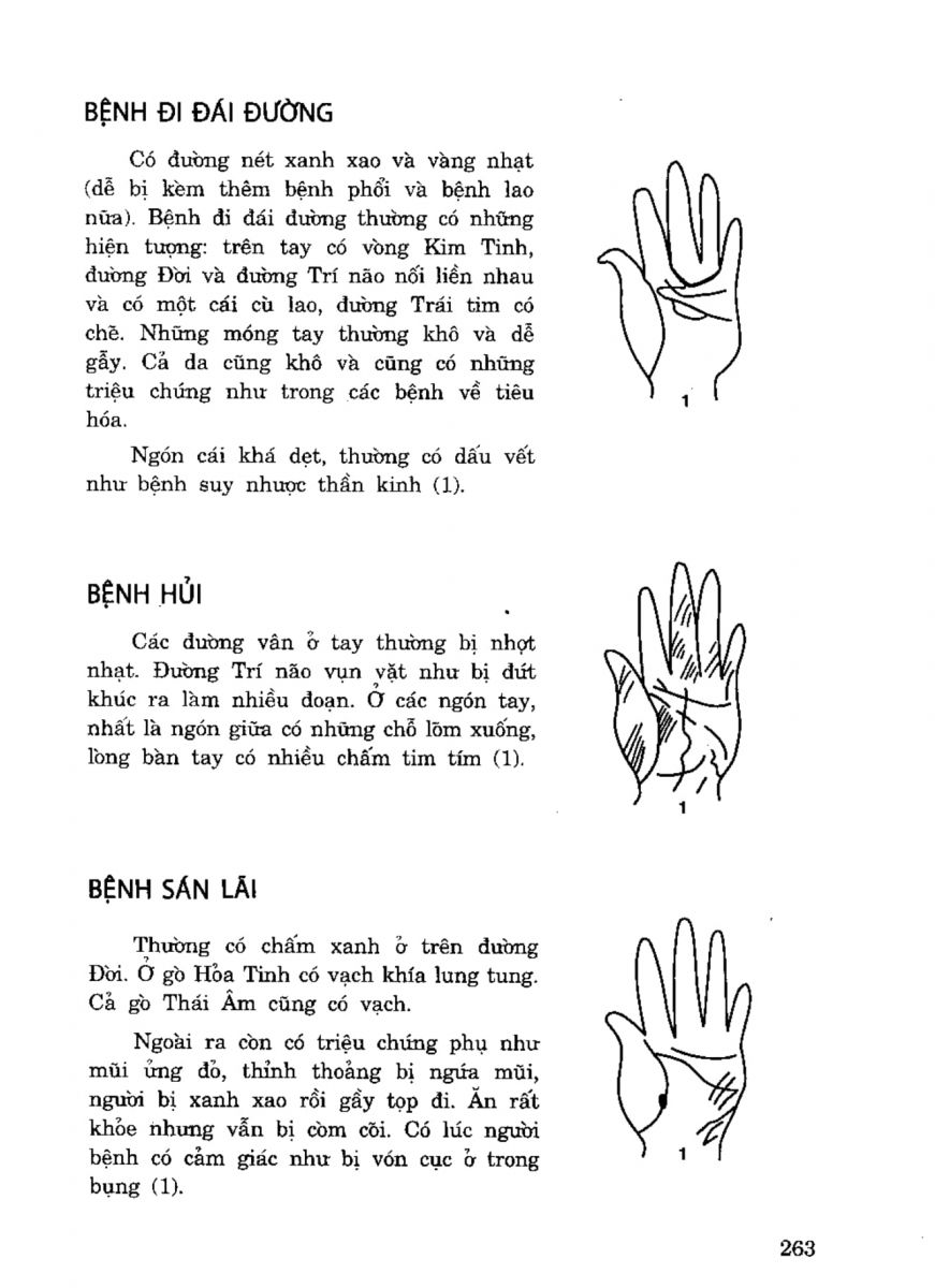 Tiếng Nói Của Bàn Tay - 258