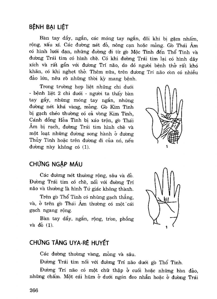 Tiếng Nói Của Bàn Tay - 261