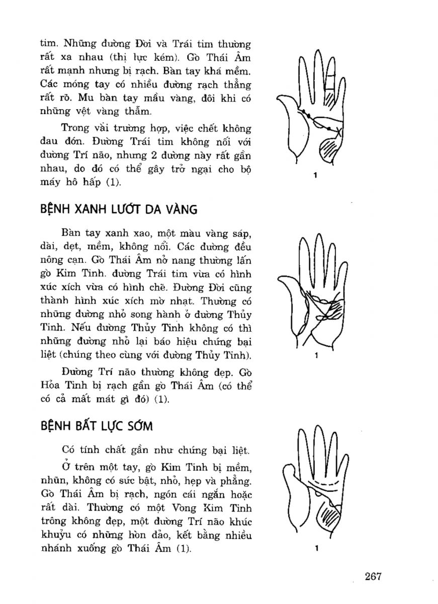 Tiếng Nói Của Bàn Tay - 262