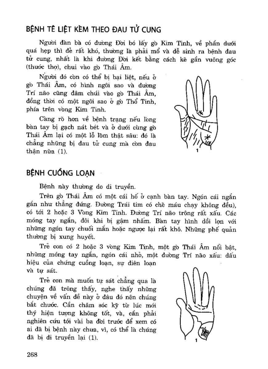 Tiếng Nói Của Bàn Tay - 263