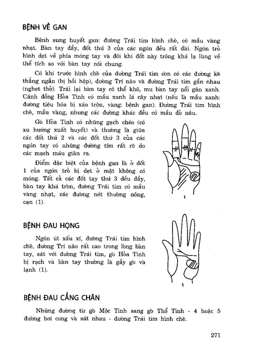 Tiếng Nói Của Bàn Tay - 266