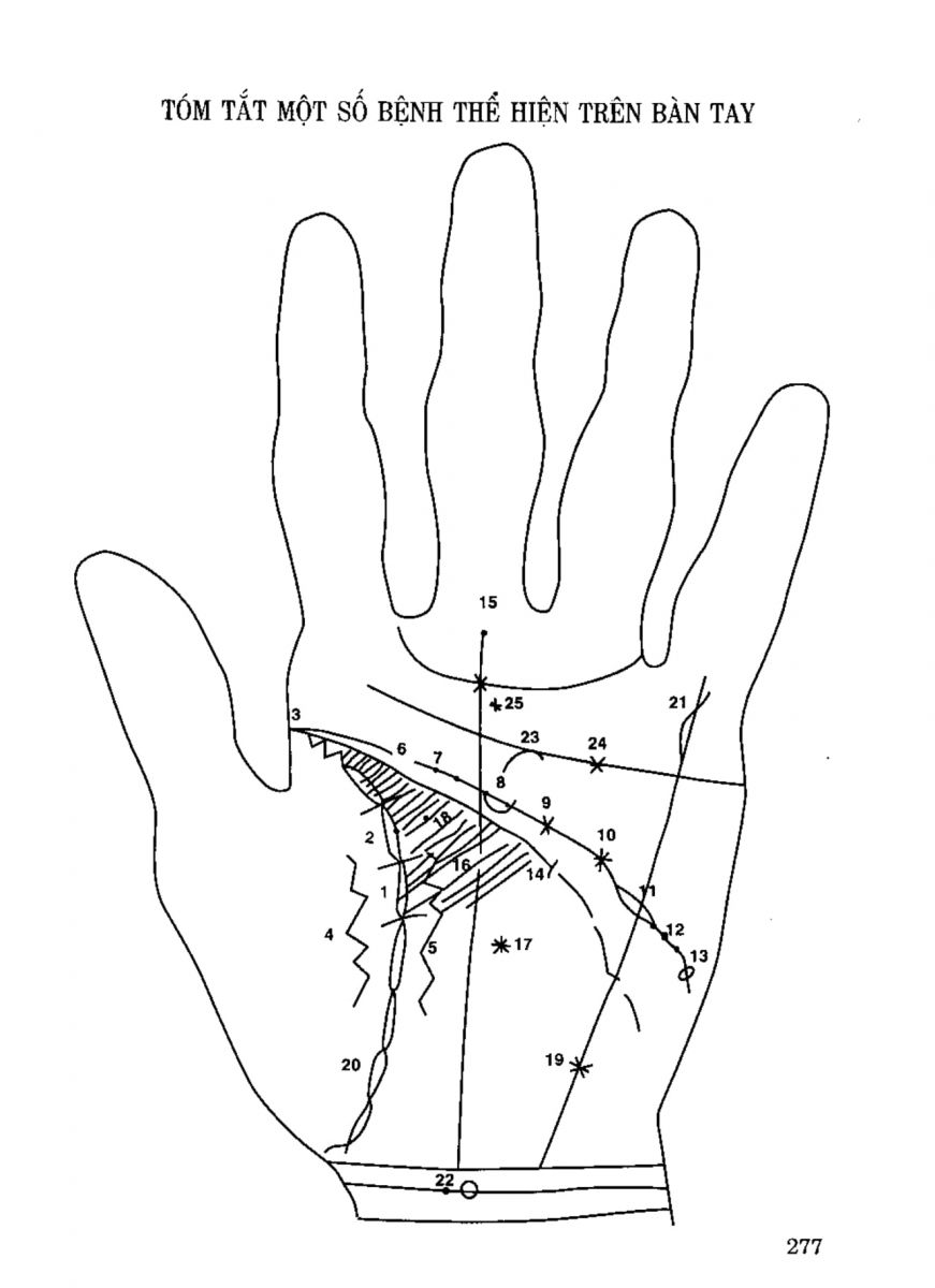 Tiếng Nói Của Bàn Tay - 272