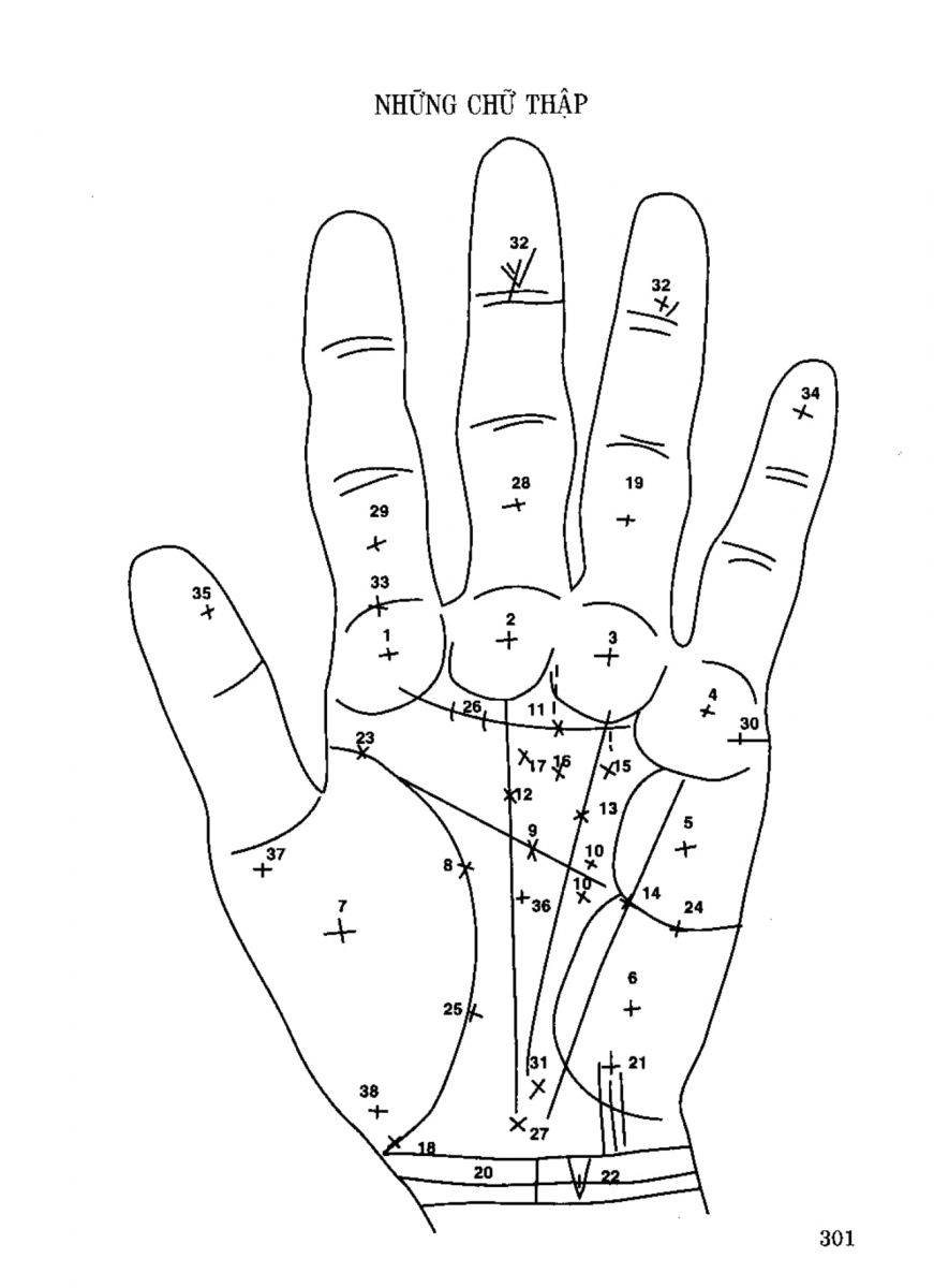 Tiếng Nói Của Bàn Tay - 296