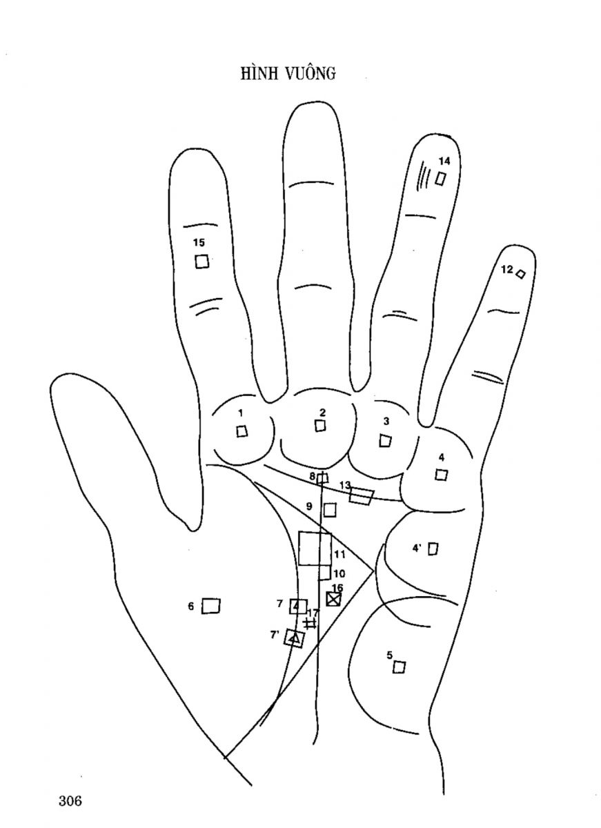 Tiếng Nói Của Bàn Tay - 301