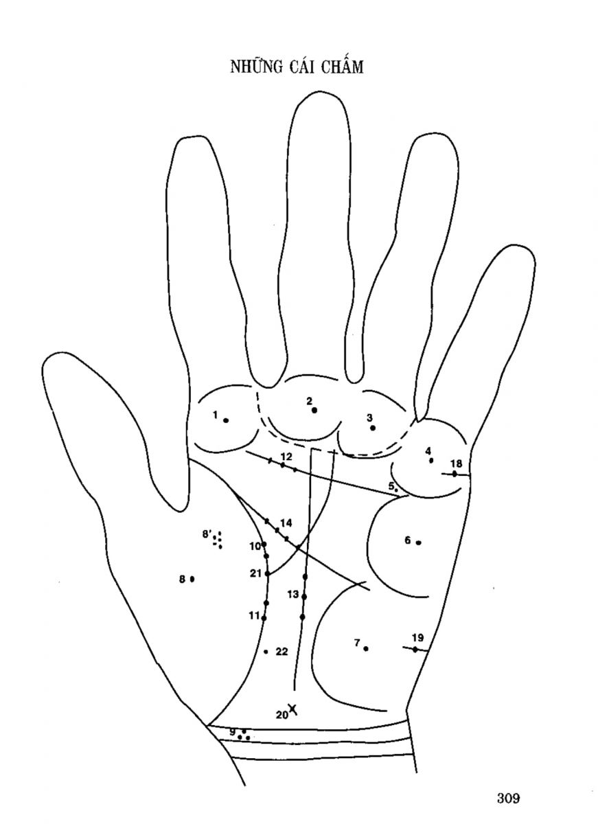 Tiếng Nói Của Bàn Tay - 304