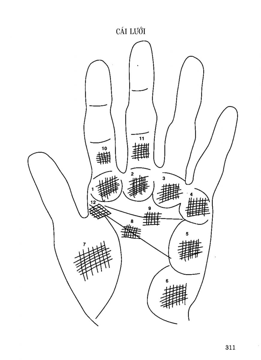 Tiếng Nói Của Bàn Tay - 306