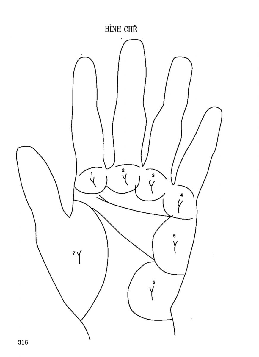 Tiếng Nói Của Bàn Tay - 311