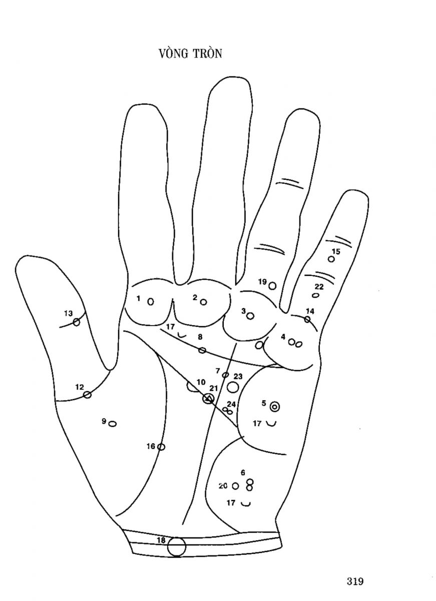 Tiếng Nói Của Bàn Tay - 314