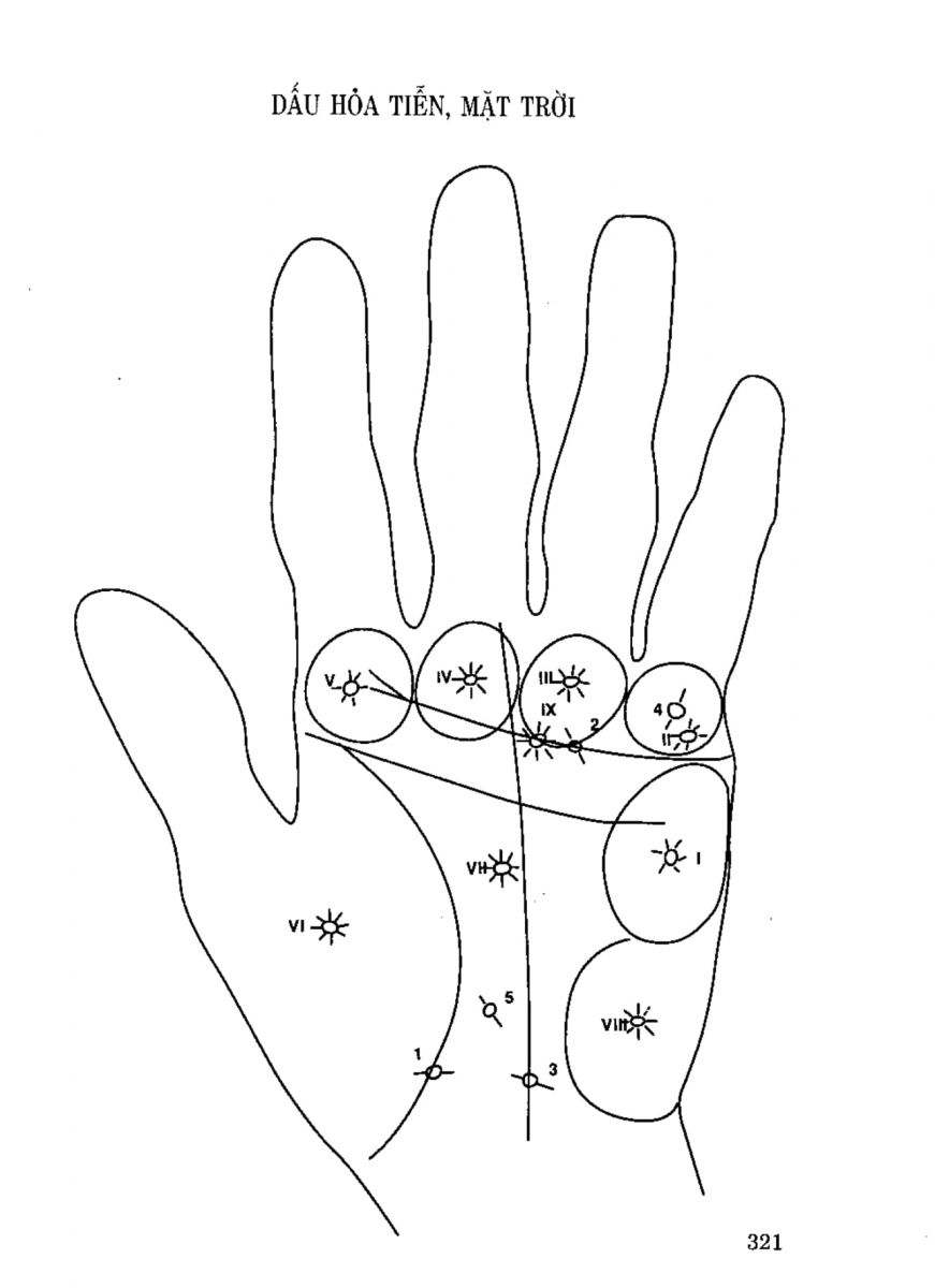 Tiếng Nói Của Bàn Tay - 316