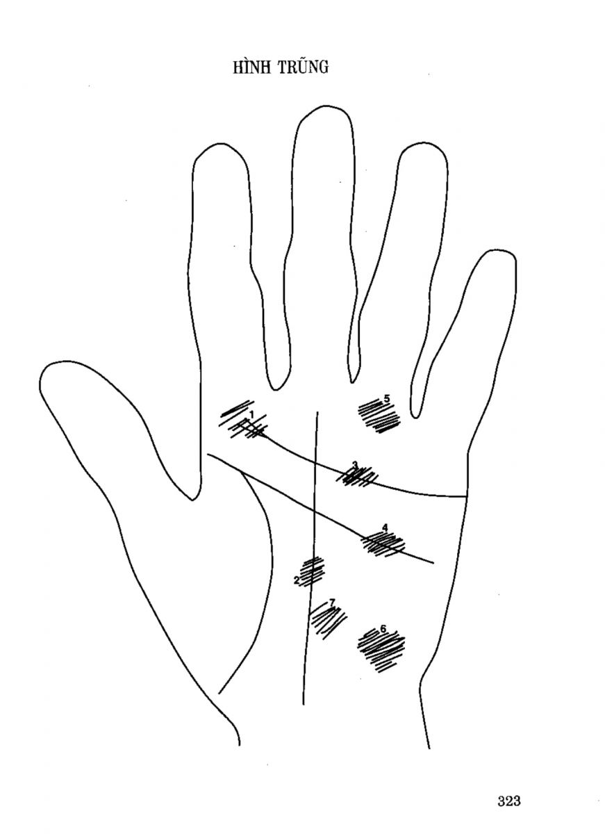 Tiếng Nói Của Bàn Tay - 318