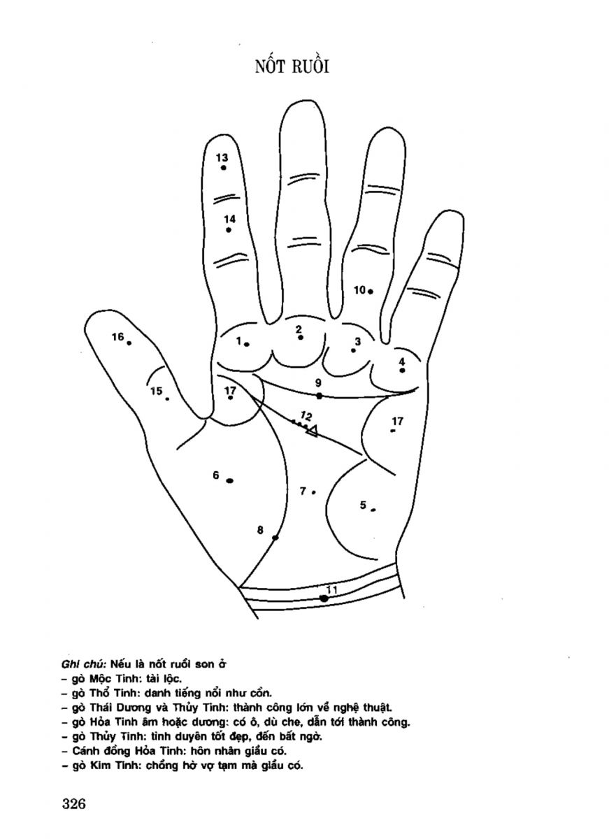 Tiếng Nói Của Bàn Tay - 321