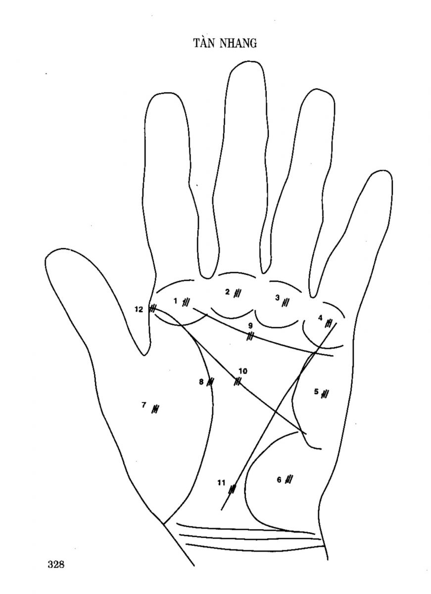 Tiếng Nói Của Bàn Tay - 323