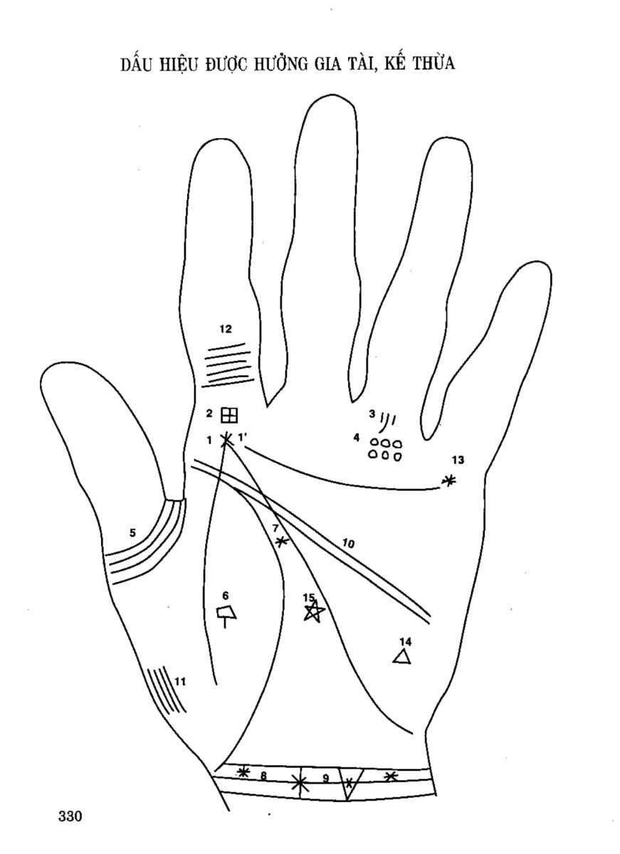 Tiếng Nói Của Bàn Tay - 325