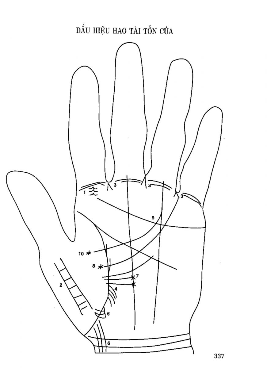 Tiếng Nói Của Bàn Tay - 332