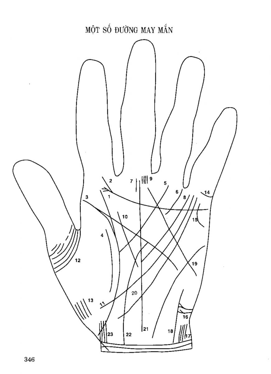 Tiếng Nói Của Bàn Tay - 341