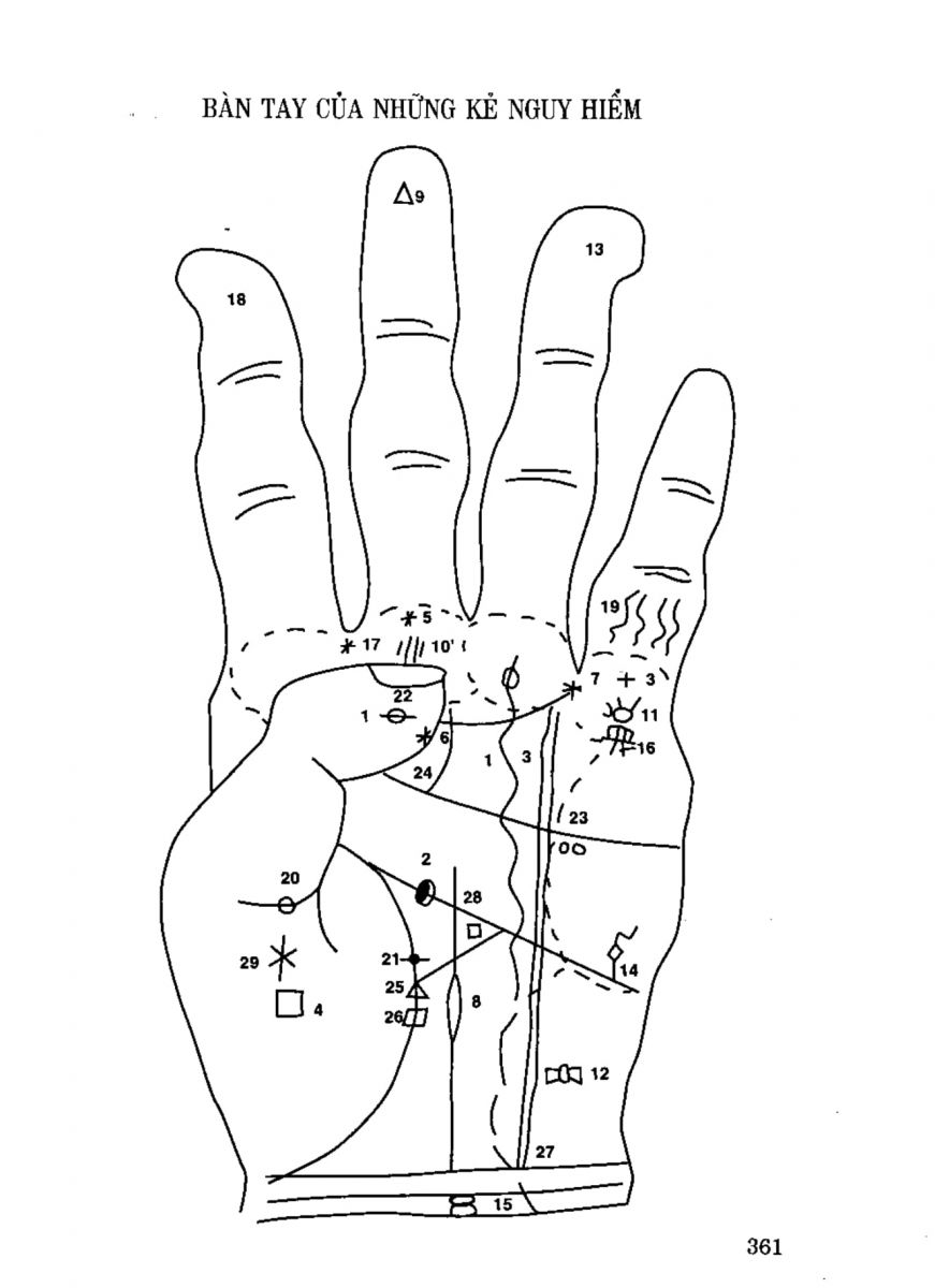Tiếng Nói Của Bàn Tay - 356