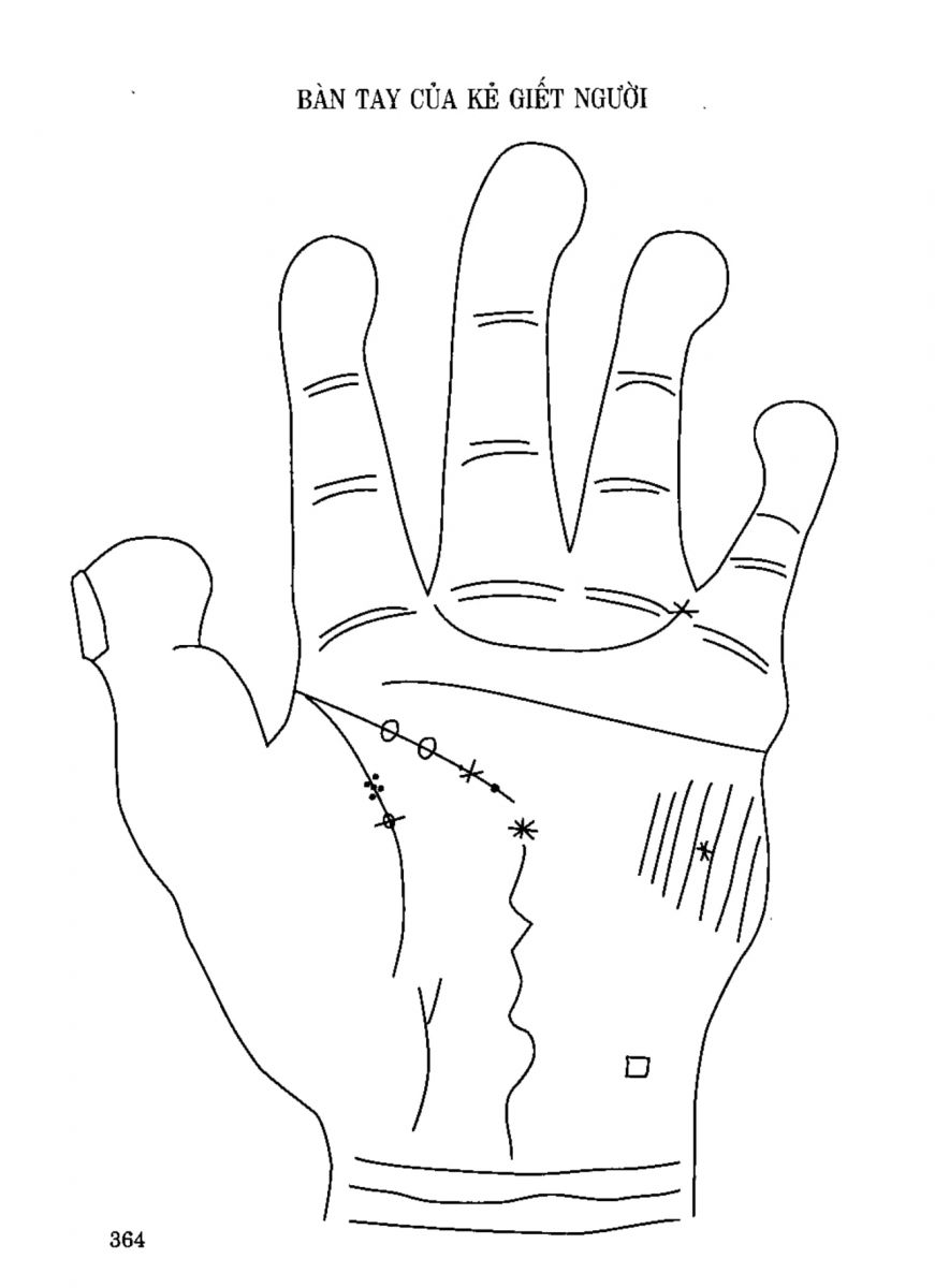 Tiếng Nói Của Bàn Tay - 359