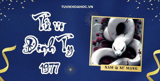 tử vi tuổi đinh tỵ năm 2025