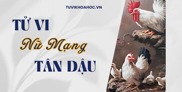 tử vi tuổi tân dậu năm 2025