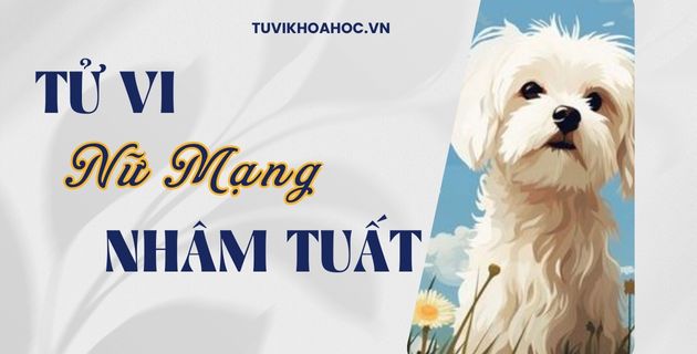 tử vi tuổi nhâm tuất năm 2025