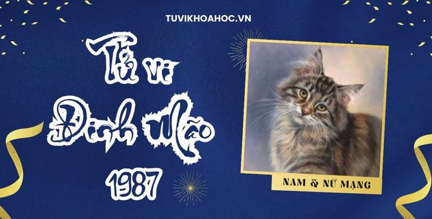 Tử vi tuổi Đinh Mão năm 2025 nam nữ mạng - Luận giải chi tiết
