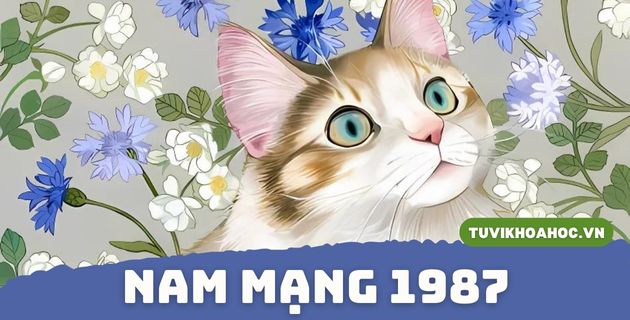 tử vi tuổi đinh mão năm 2025