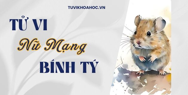 tử vi tuổi bính tý năm 2025