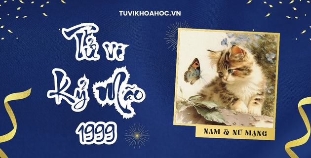 tử vi tuổi kỷ mão năm 2025