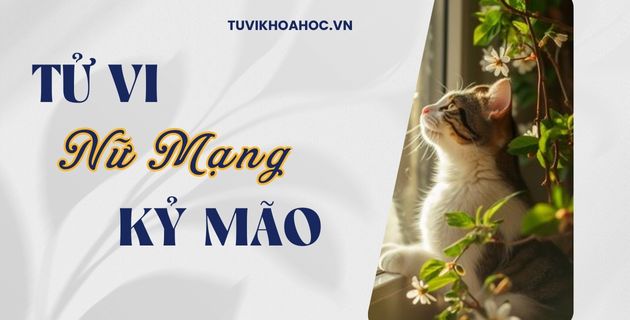 tử vi tuổi kỷ mão năm 2025