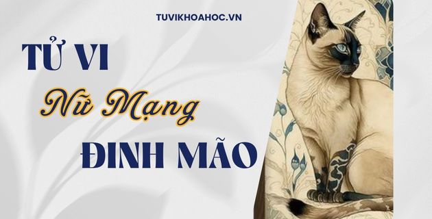 tử vi tuổi đinh mão năm 2025