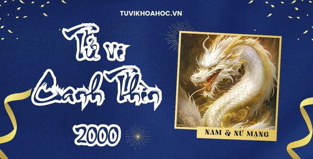 Tử vi tuổi Canh Thìn năm 2025 nam nữ mạng về công việc - tình duyên