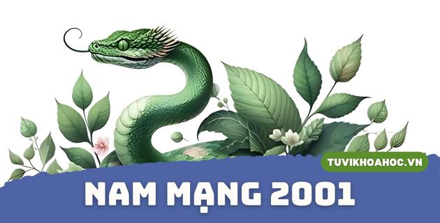 tử vi tuổi tân tỵ năm 2025