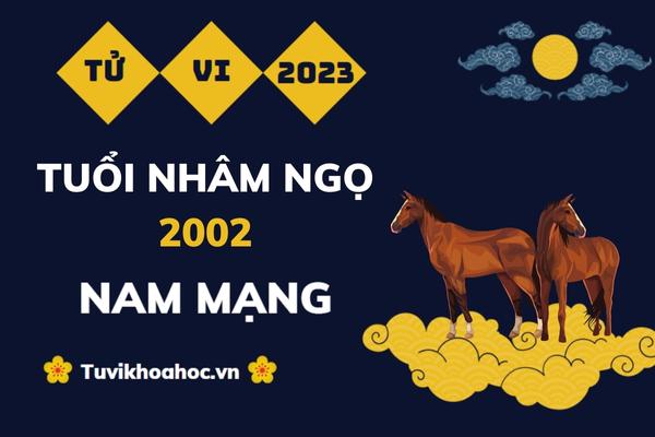 Tử Vi Tuổi Nhâm Ngọ 2002 Năm 2023 - Nam Mạng